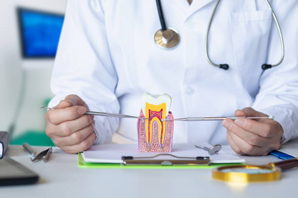 Best Emergency Dental Care for Trauma or Injury in Decatur, TN